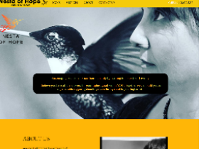 Nonprofit website example