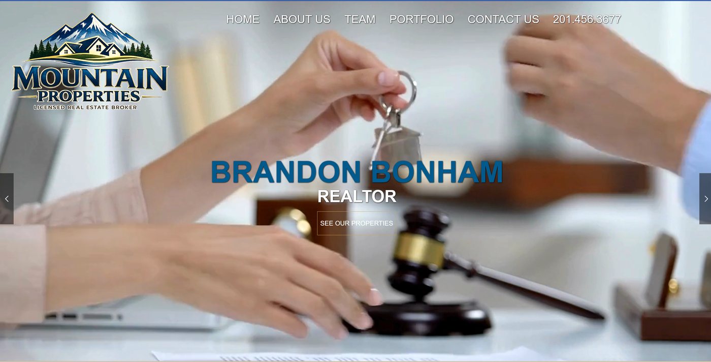 Professional services website example